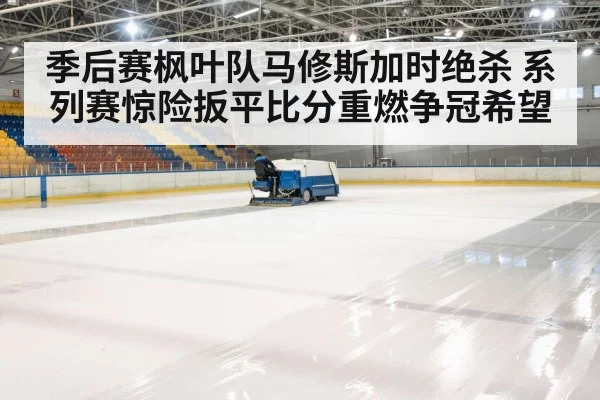 hockey rink arena
